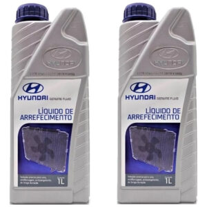 2 Litros Aditivo Liquido Arrefecimento Hyundai Original