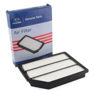 Filtro De Ar Hyundai Veracruz 2007 A 2012
